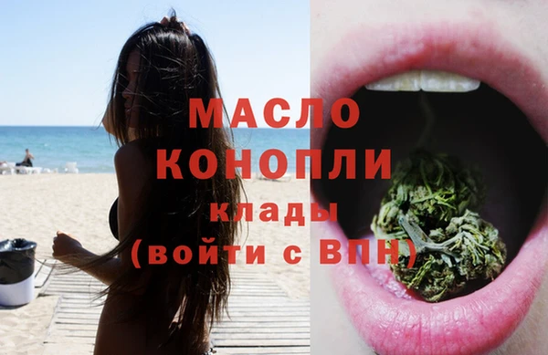 молекула духа Сатка