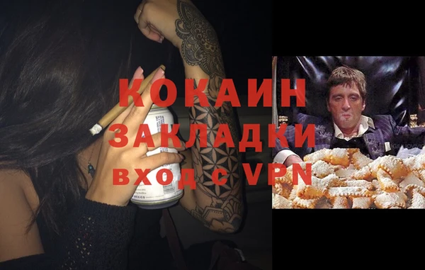 твердый Абаза