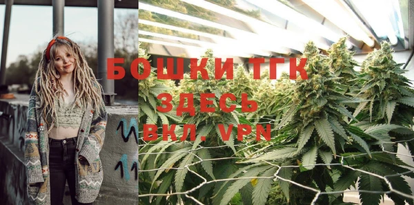 твердый Абаза