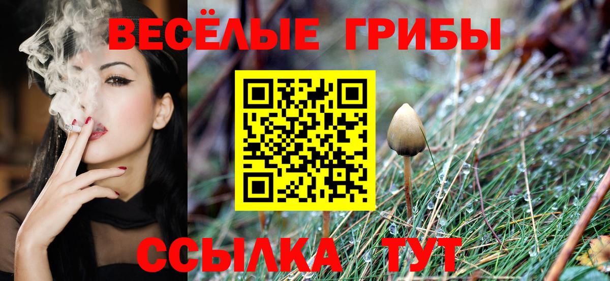 Псилоцибиновые грибы Cubensis  Псилоцибиновые грибы мухоморы  Вход с VPN  Алейск 